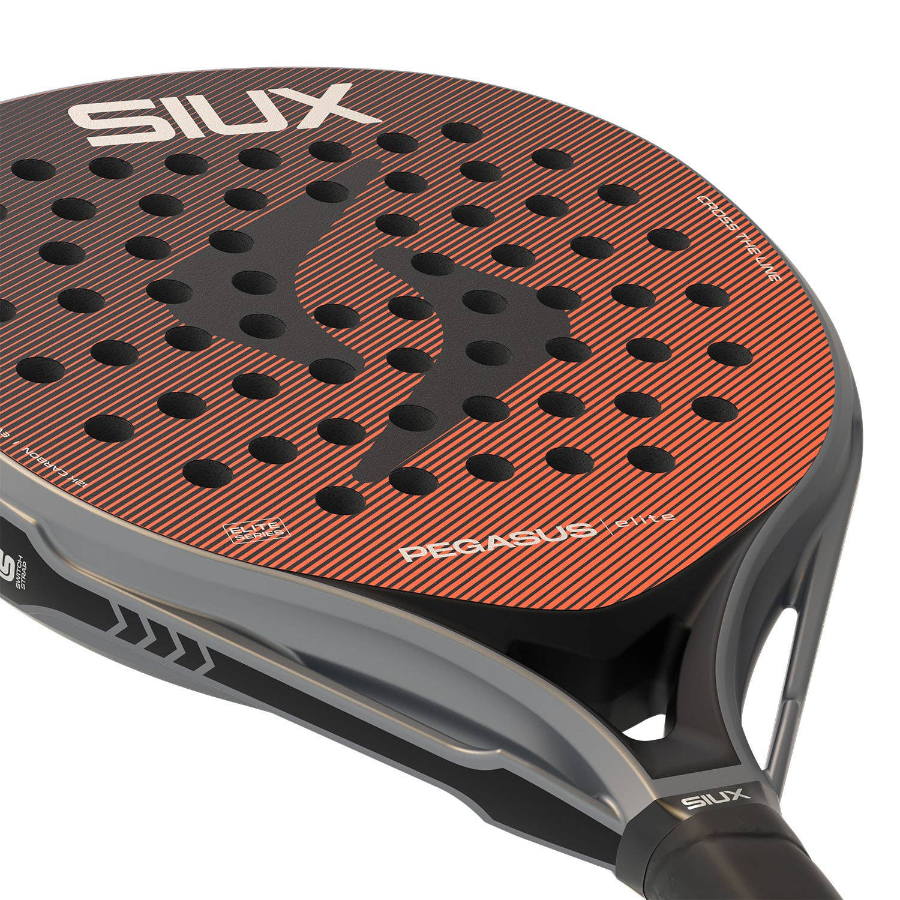 121753-pala-siux-pegasus-elite-4-200055-1500×1500-5